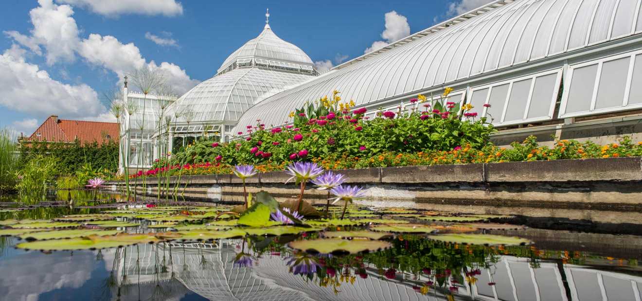 Aquatic Gardens Phipps Conservatory and Botanical Gardens Pittsburgh PA