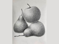 Botanical Art and Illustration Botanical Art and Illustration