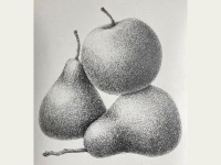 Botanical Art and Illustration Botanical Art and Illustration