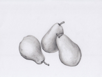 Botanical Art and Illustration Botanical Art and Illustration