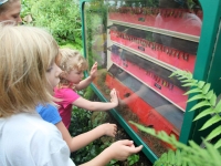 Field Trips and School Outreach Field Trips and School Outreach