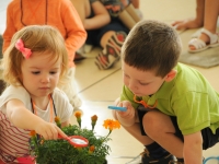Little Sprouts: Summer Camps Little Sprouts: Summer Camps