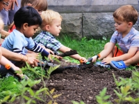Little Sprouts: Fall Programs Little Sprouts: Fall Programs