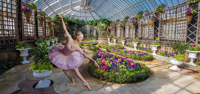 Dancing with “The Sleeping Beauty” Dancing with “The Sleeping Beauty”