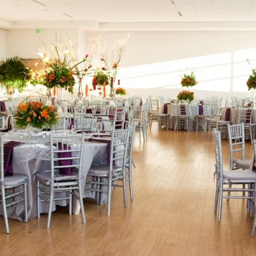 Image Gallery