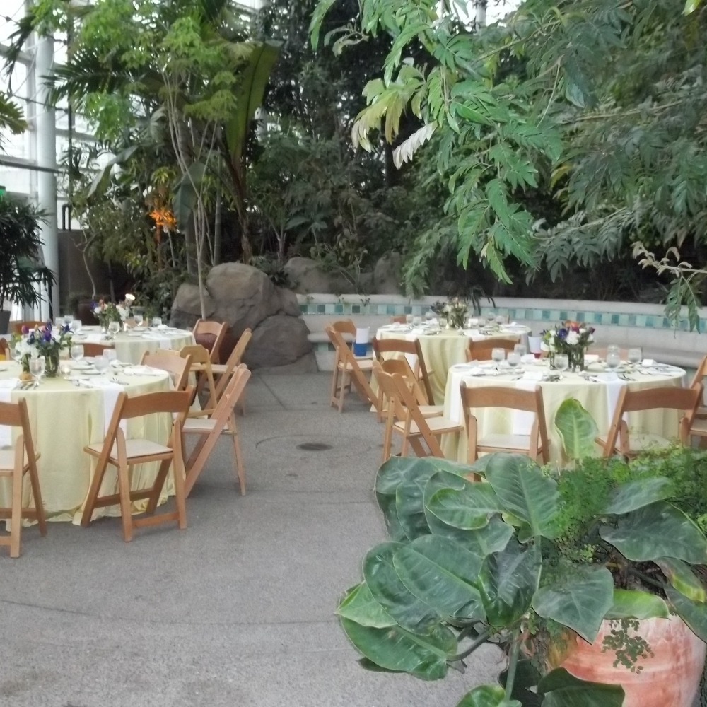 Image Gallery Phipps Conservatory and Botanical Gardens Pittsburgh PA