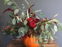 Gorgeous Gourds
