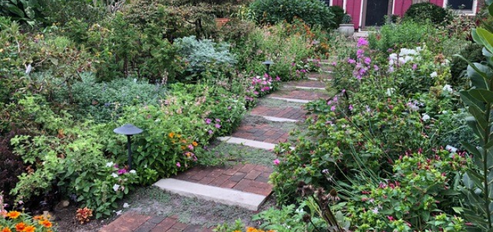 Summer Short Course: Growing and Using Herbs Summer Short Course: Growing and Using Herbs