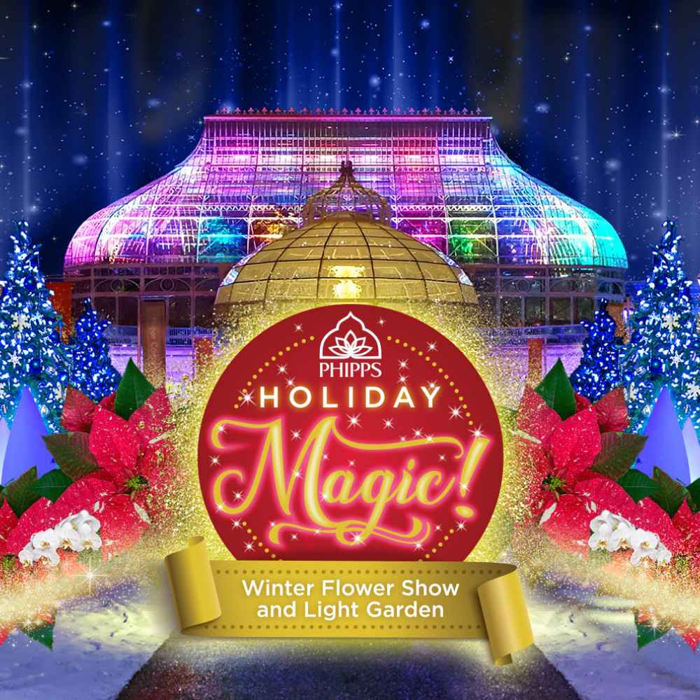 Magic Of Christmas 2021 The Palace Holiday Magic Winter Flower Show And Light Garden Phipps Conservatory And Botanical Gardens Pittsburgh Pa