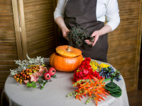 NEW! Online Classes NEW! Online Classes
