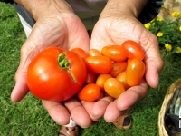 Growing and Cooking Food Portal Growing and Cooking Food Portal