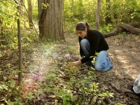Botany in Action Botany in Action