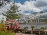 Japanese Courtyard Garden