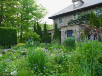 Down The Rabbit Hole with Phipps Adult Education