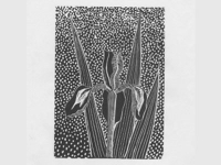 Botanical Art and Illustration Botanical Art and Illustration