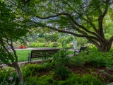 Outdoor Garden