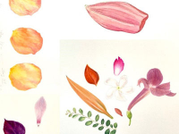 NEW! Online Classes NEW! Online Classes
