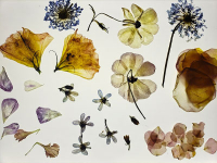 Gardening and Botanical Crafts Gardening and Botanical Crafts