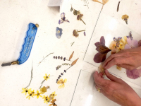 Botanical Craft Class Kits