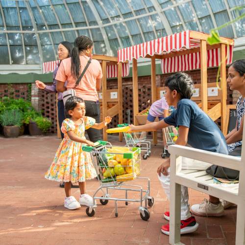 Play Farmers’ Market