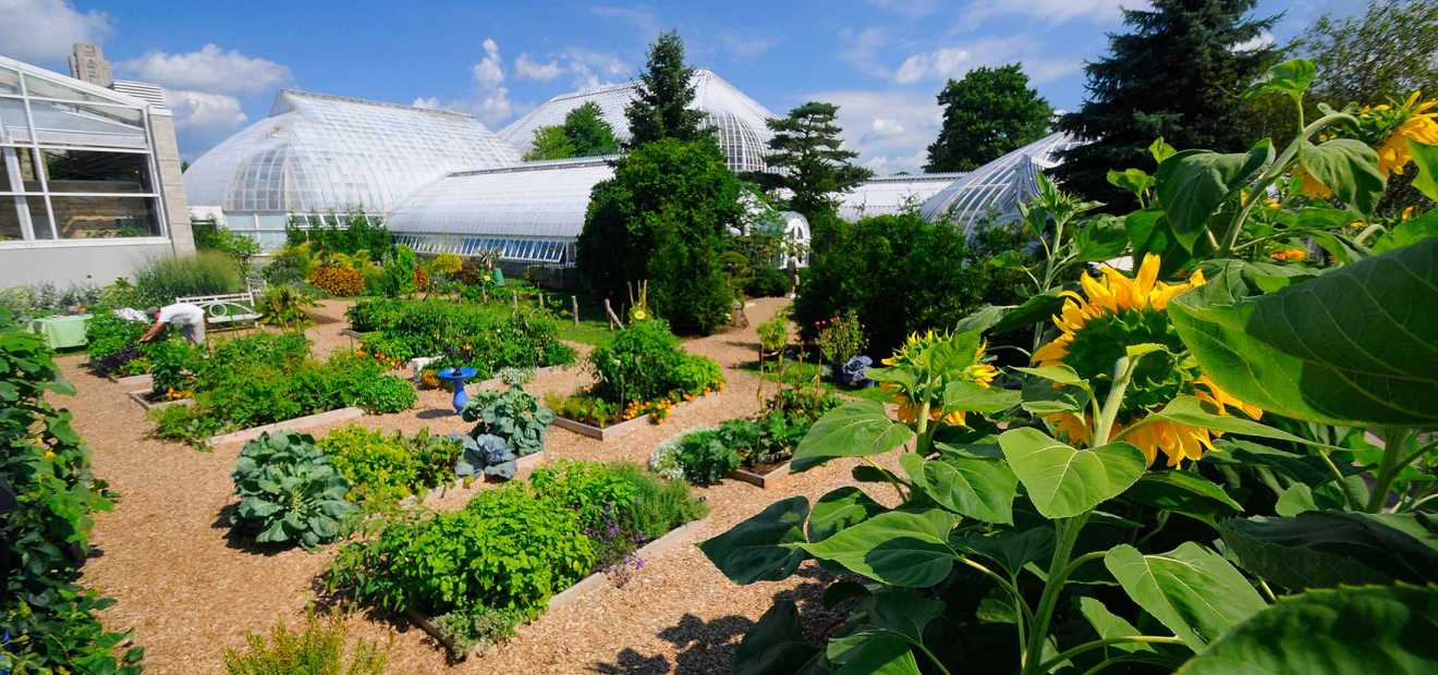 Rooftop Edible Garden Phipps Conservatory And Botanical Gardens