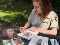 Botanical Art and Illustration Botanical Art and Illustration