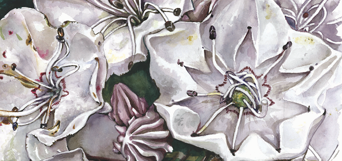 Introduction to Painting Nature with Watercolor Introduction to Painting Nature with Watercolor