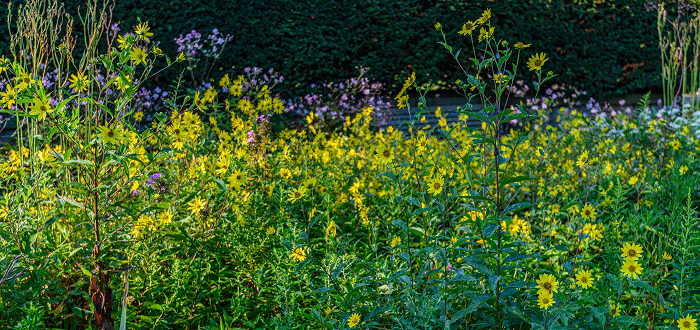 Summer Short Course: Designing for Beauty and Ecology Summer Short Course: Designing for Beauty and Ecology