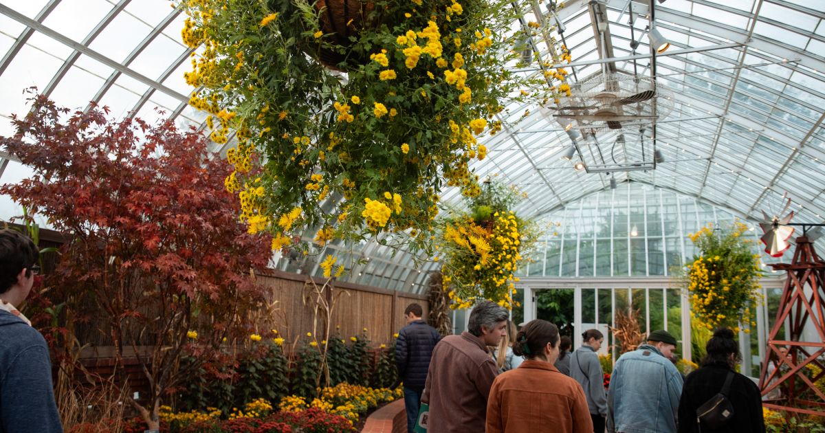Conservatory Highlights Tour