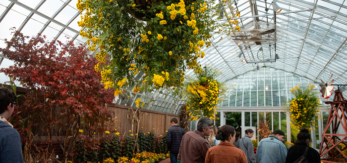 Conservatory Highlights Tour