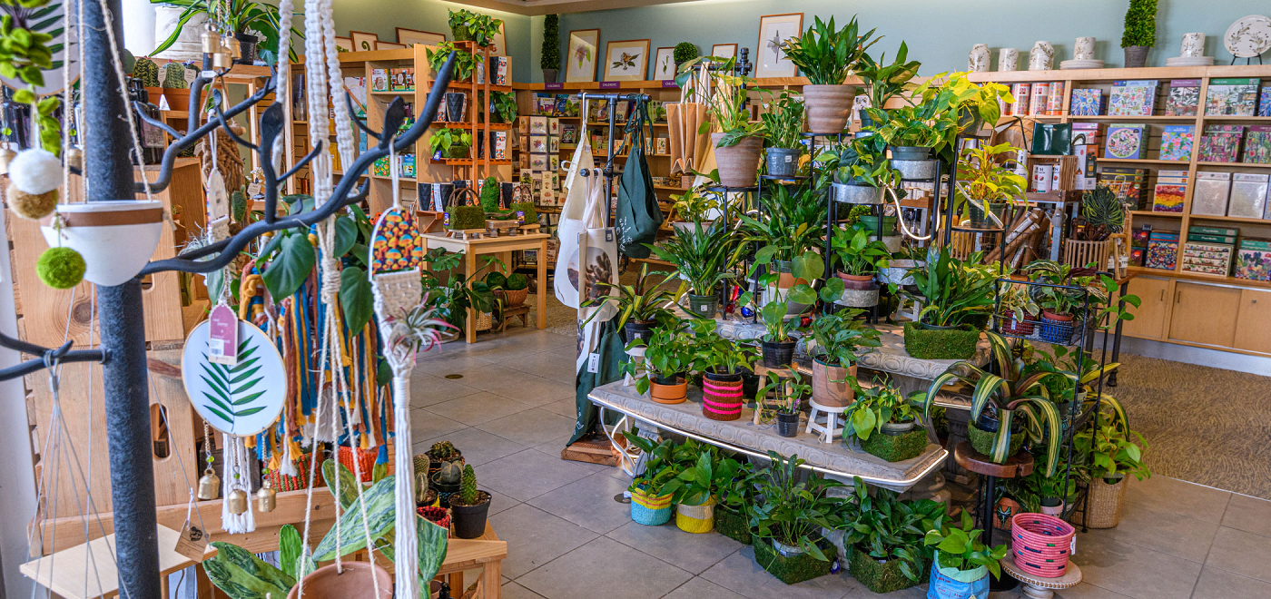 shop shop