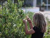 Sustainable Citizenship Portal Sustainable Citizenship Portal