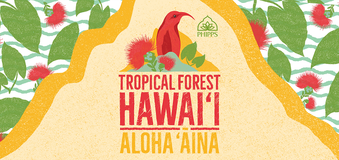 Tropical Forest Hawai‘i Tropical Forest Hawai‘i