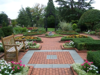 Down The Rabbit Hole with Phipps Adult Education