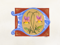 NEW! Online Classes NEW! Online Classes