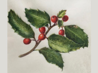Botanical Art and Illustration Botanical Art and Illustration