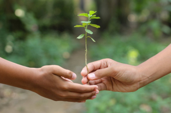 Regenerative Culture at Phipps