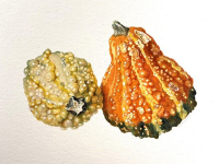 NEW! Online Classes NEW! Online Classes