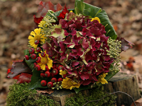 Floral Design Floral Design