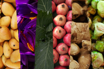 Regenerative Culture at Phipps