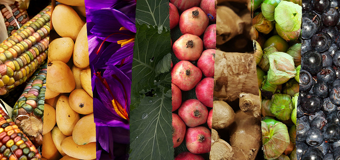 Plants, Cuisine and Culture Plants, Cuisine and Culture