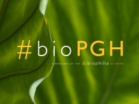 Biophilia Network