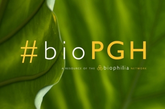 Biophilia Network