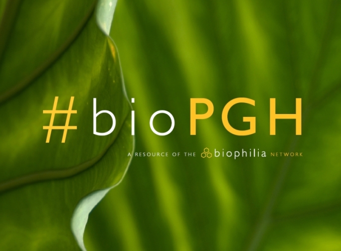 Pitt S Sustainable Development Goals Activities Pitt