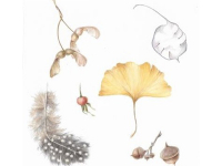 NEW! Online Classes NEW! Online Classes