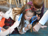 For Homeschoolers For Homeschoolers