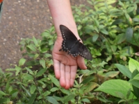 Seedling Scientists: Summer Camps Seedling Scientists: Summer Camps