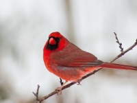 Little Sprouts: Winter Programs Little Sprouts: Winter Programs