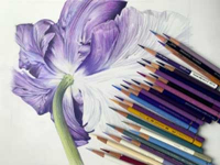 Online Classes Online Classes