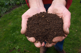 Vegetable Gardening Guide